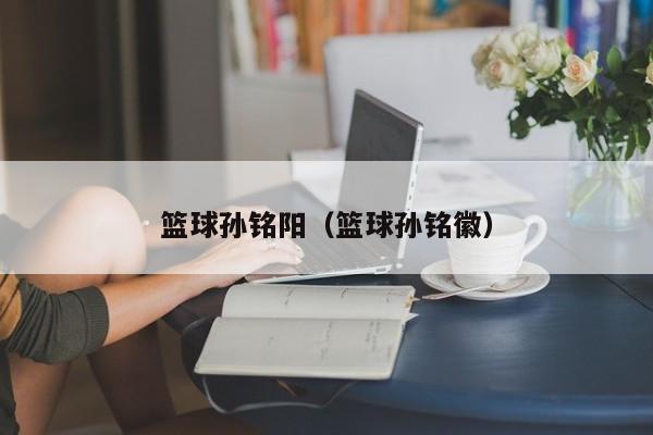 篮球孙铭阳（篮球孙铭徽）