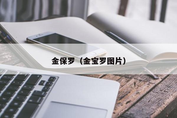 金保罗（金宝罗图片）
