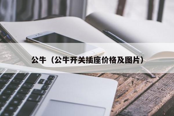 公牛（公牛开关插座价格及图片）