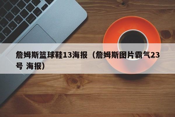 詹姆斯篮球鞋13海报（詹姆斯图片霸气23号 海报）