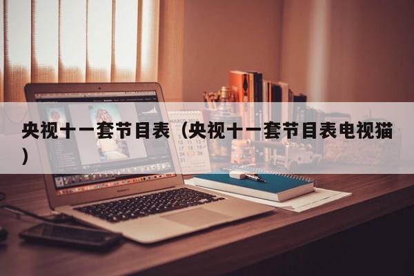央视十一套节目表（央视十一套节目表电视猫）