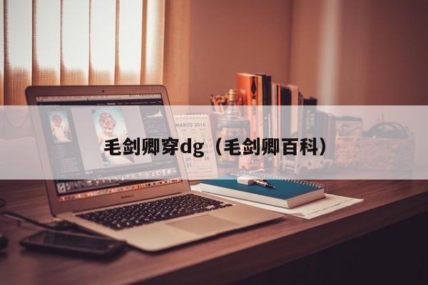 毛剑卿穿dg（毛剑卿百科）