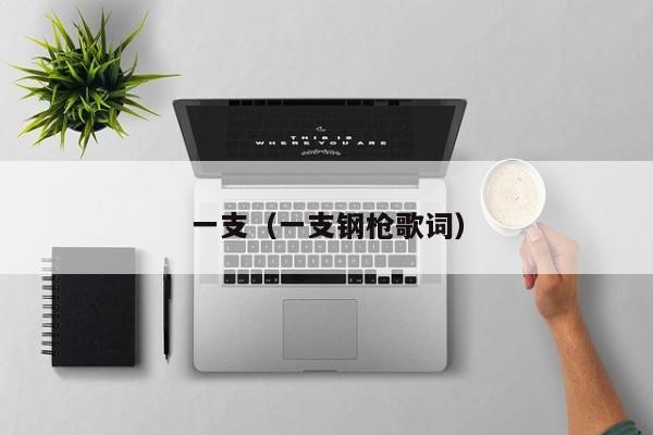 一支（一支钢枪歌词）