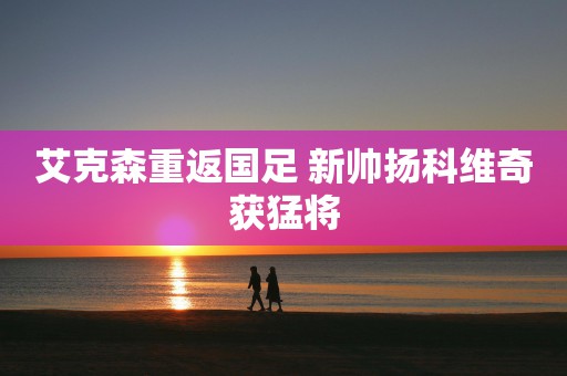 艾克森重返国足 新帅扬科维奇获猛将