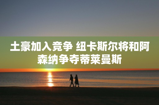 土豪加入竞争 纽卡斯尔将和阿森纳争夺蒂莱曼斯